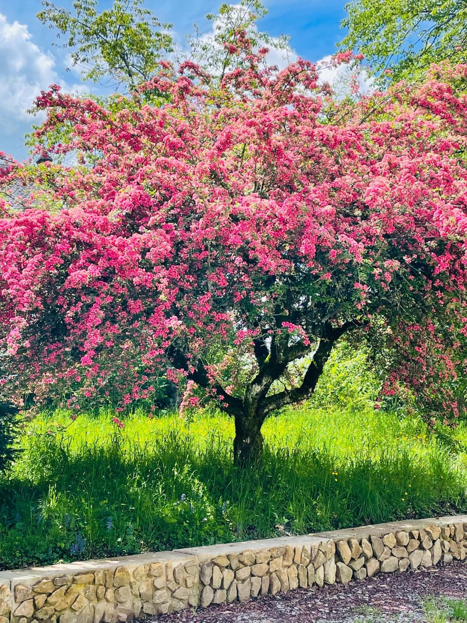 Vila Au Charme D Antan Thalamy Exteriér fotografie